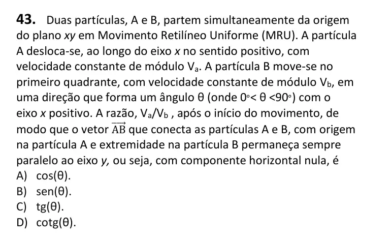 Recorte da questão 43 no caderno Tipo 1